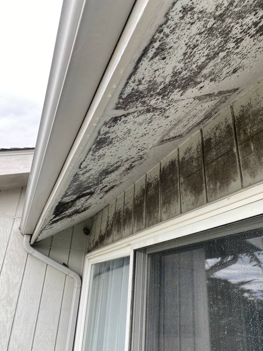 Dirty house siding before professional washing in Yorktown VA