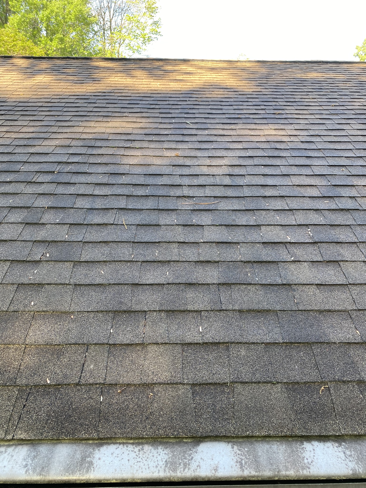 Dirty roof before soft washing in Yorktown VA